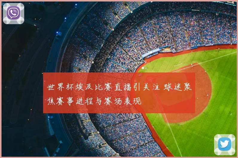 世界杯埃及比赛直播引关注 球迷聚焦赛事进程与赛场表现