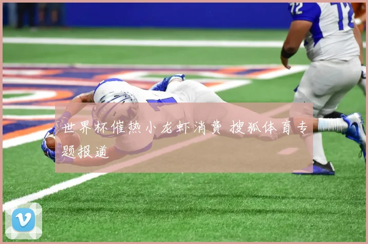 世界杯催热小龙虾消费 搜狐体育专题报道
