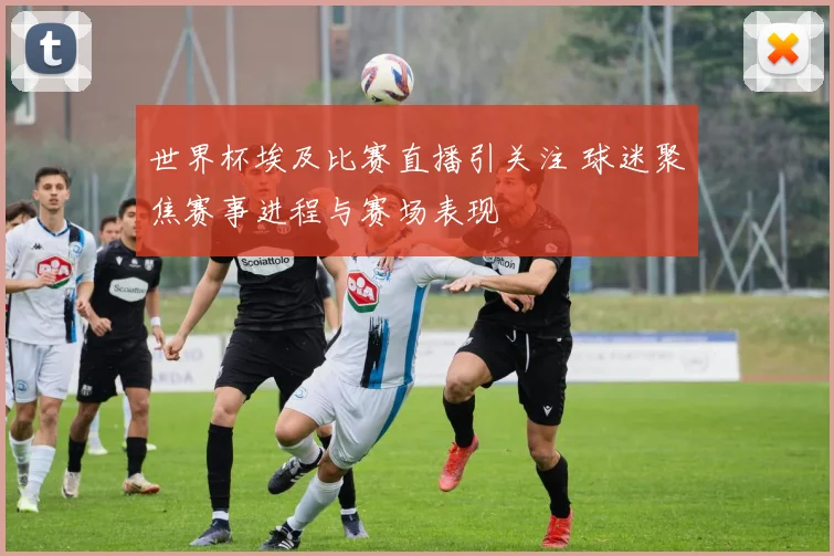 世界杯埃及比赛直播引关注 球迷聚焦赛事进程与赛场表现